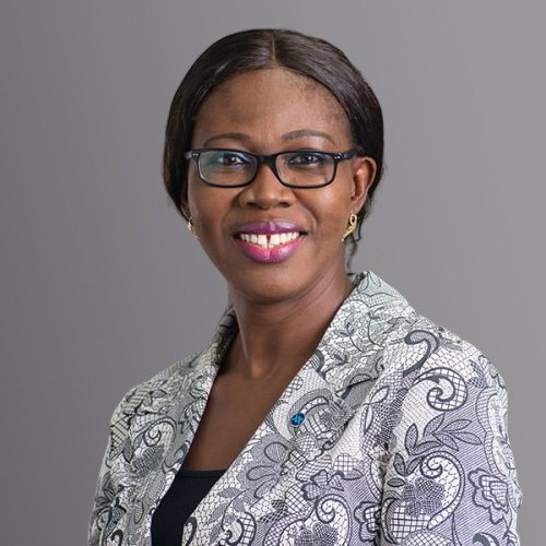 Advisory Team Member